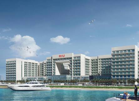 Отель Hotel Riu Dubai