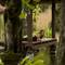 Отель The Patra Bali Resort & Villas