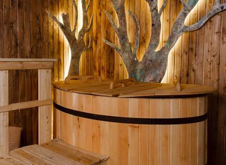 Отель Репино Cronwell Park Hotel