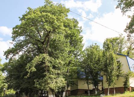 Отель Park Inal (Парк Инал) база отдыха