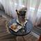 Отель Tigre de Cristal Hotel & Resort