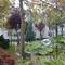 Отель Limak Thermal Boutique Hotel