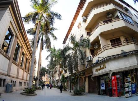 Отель Cairo Hotel