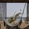 Отель Casa Cook El Gouna