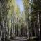 Отель Park Resort Aghveran