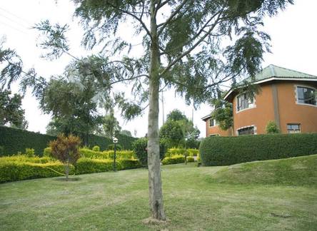 Отель Arusha Safari Lodge