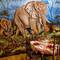 Отель Arusha Safari Lodge