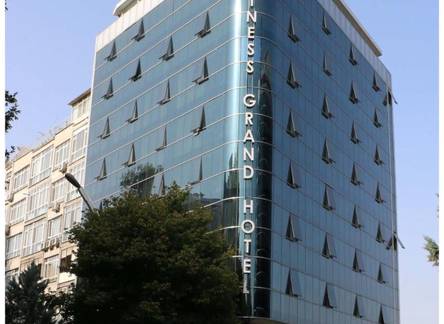 Отель Business Grand Hotel