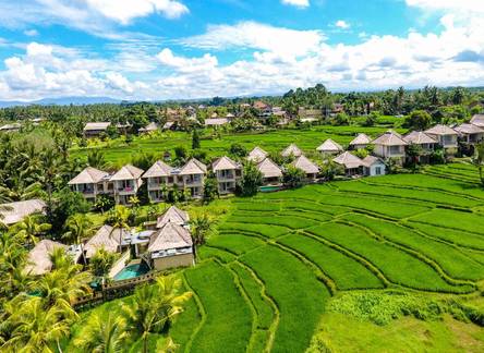 Отель Mesari Hotel Ubud