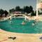 Отель Green Gold Hotel