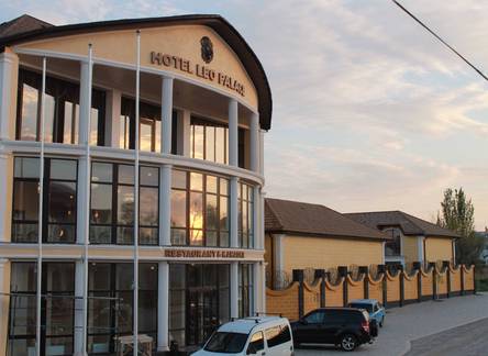 Отель Leo Palace