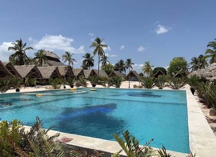 Отель New Jambo Bungalows
