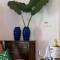 Отель Tikitam Palms Boutique Hotel