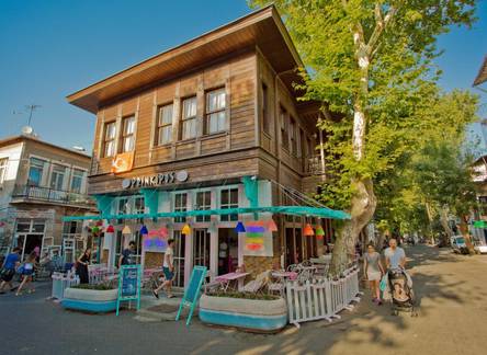 Отель Hotel Prinkipos