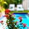 Отель Bermimpi Bali Villas