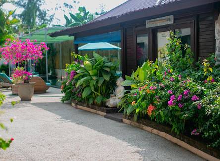 Отель Kura Kura Beach Resort