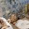 Отель Dear Lisbon - Bordalo Palace Chiado