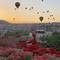 Отель Design Cappadocia Hotel