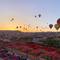 Отель Design Cappadocia Hotel