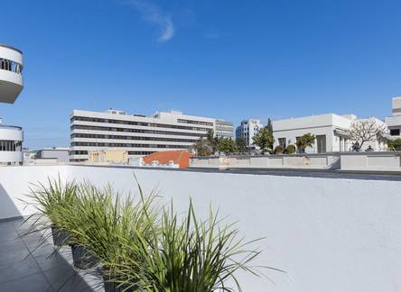 Отель Town Apartments - by Zvieli Hotels