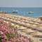 Отель Club Boran Mare Beach