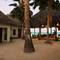 Отель Jambiani White Sands Bungalows