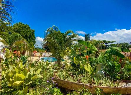 Отель Golden Palms Boutique Hotel