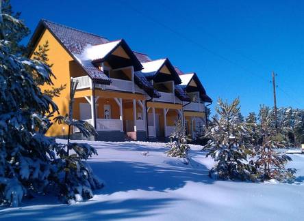 Отель Villa Ducic