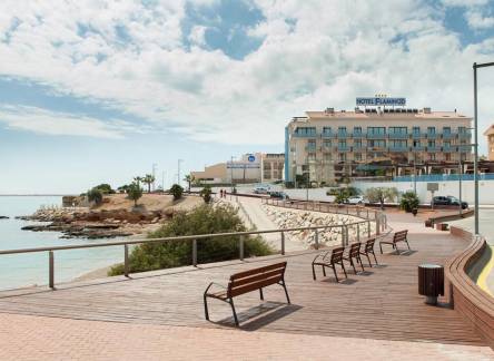 Отель Hotel Checkin Flamingo