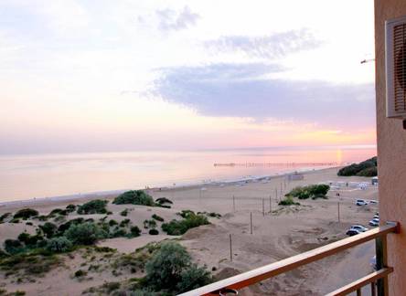 Отель Palma Soneta Hotel