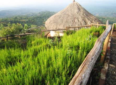 Отель Mount Kilimanjaro View Lodge
