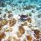 Отель Holiday Cottage Maldives, Thoddoo