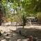 Отель Kajibange Bar and Guest House