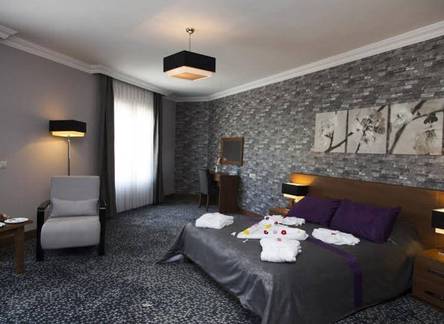 Отель Thermo Vital Otel
