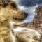 Отель Queens Cave Cappadocia