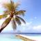 Отель Nakai Dhiggiri Resort