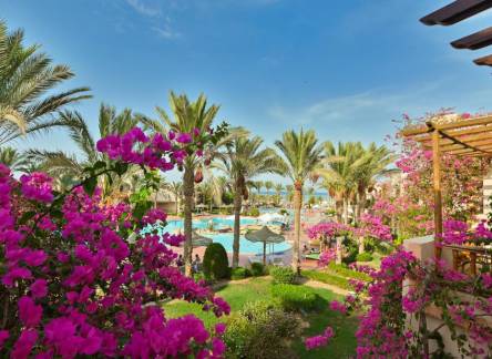 Отель Dream Lagoon & Aqua Park Resort