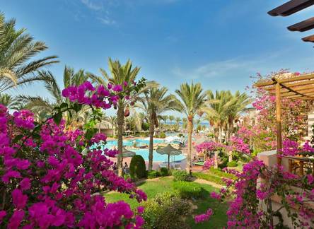 Отель Dream Lagoon & Aqua Park Resort