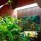 Отель Tongsai Bay Cottages And Hotel