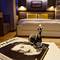 Отель The Row Taksim Hotel