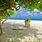 Отель Ithaa Inn Kamadhoo