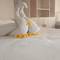 Отель Lemon Hostel Lembongan