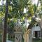 Отель Coco Resort Penida