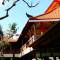 Отель Bali Bungalo Hotel