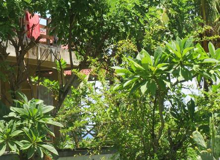 Отель Amed Sari Beach Guesthouse