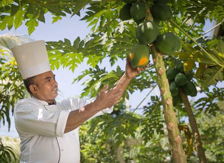 Отель Sri Sharavi Beach Villas Spa