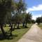 Отель Residence camping Oliva