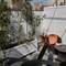 Отель Citrus Boutique Hotel