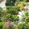 Отель Smartline Paphos ex. Mayfair