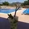 Отель Apartamentos Villa Real